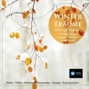 wintertraume